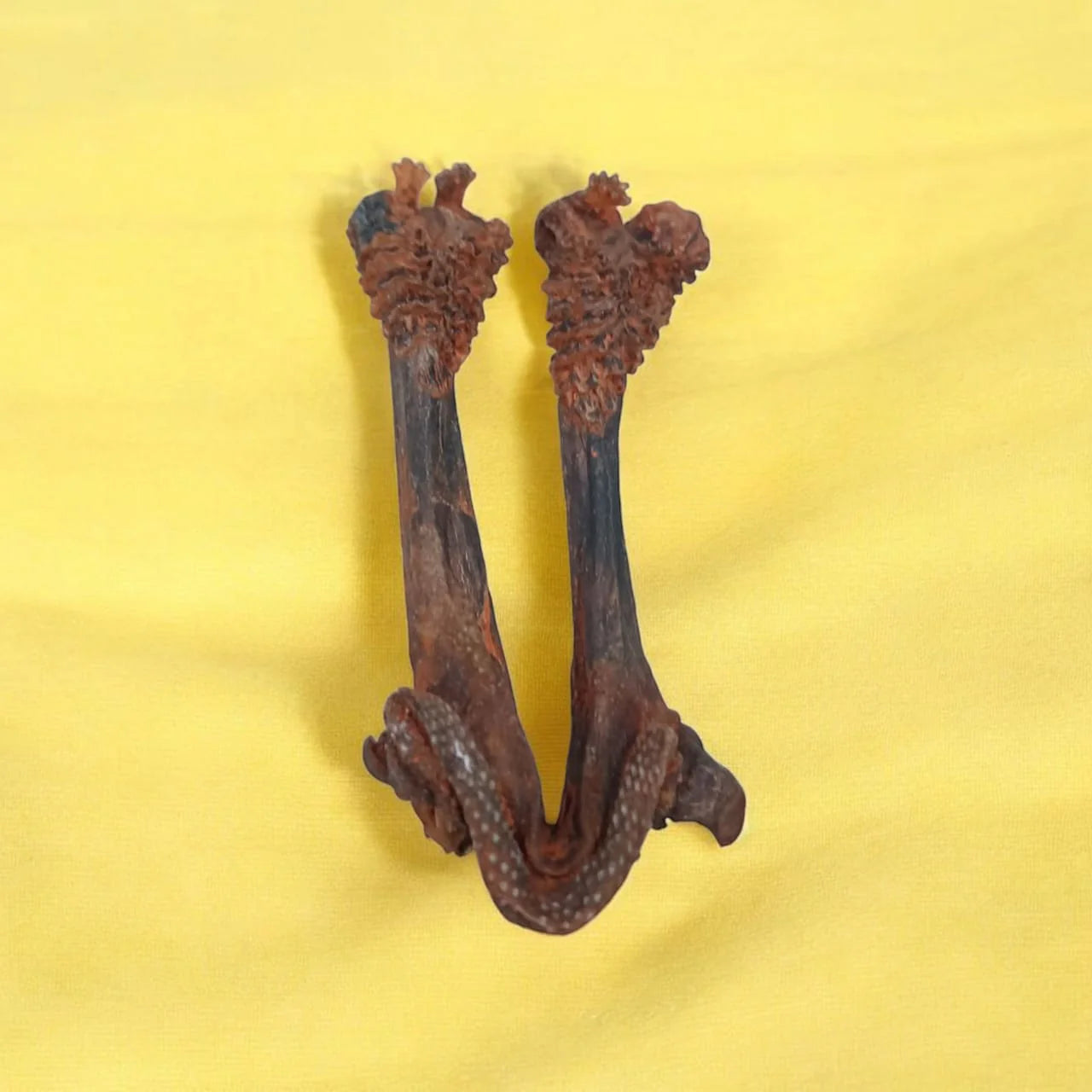 Hatha Jodi Root