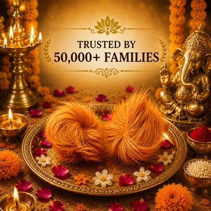 Siddh Siyar Singhi | 100% Original Vedic Siddh Spiritual Product