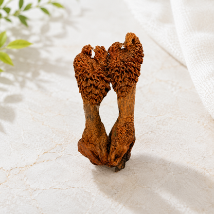 Hatha Jodi Root